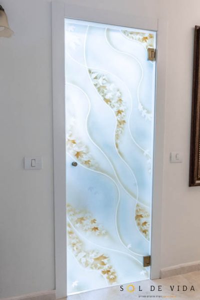 דלת כניסה לחדר כביסה מזכוכית מעוטרת מבית א א זכוכית